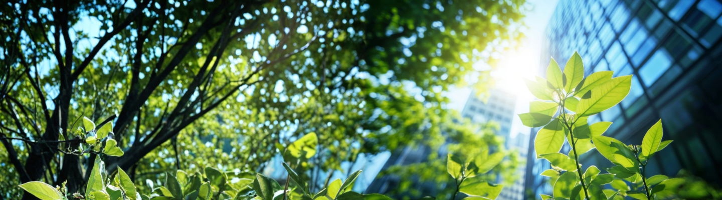 ISRB 2026/01 31 December 2025 Sustainability Reporting Update