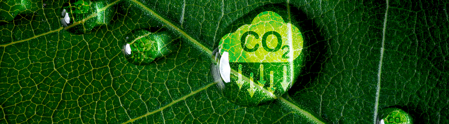 climate services uae 