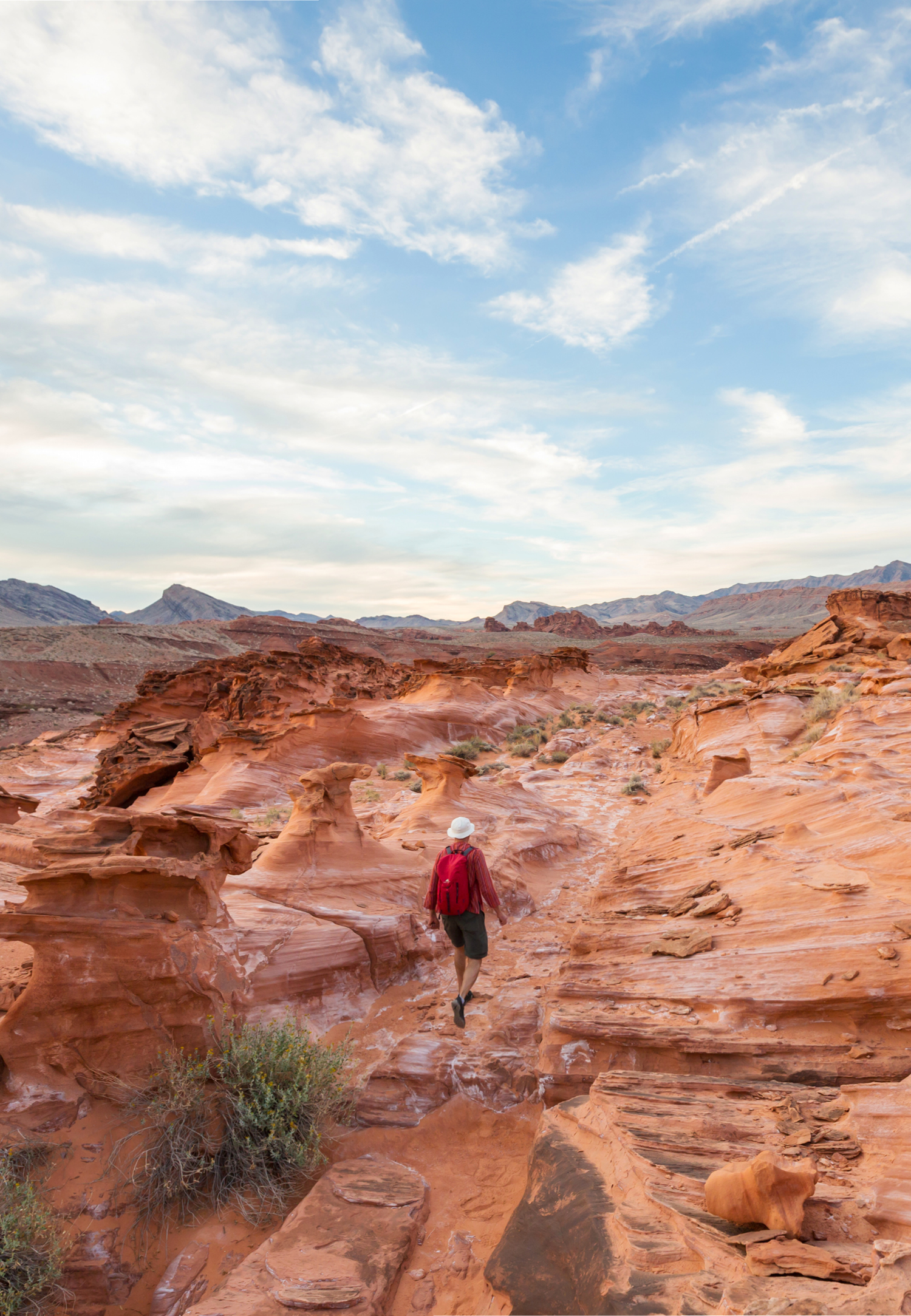 Sustainability Survey 2026: turning sustainability priorities into measurable business value