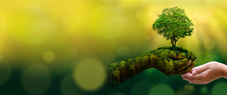 31 December 2022 Year-End IFRS Update
