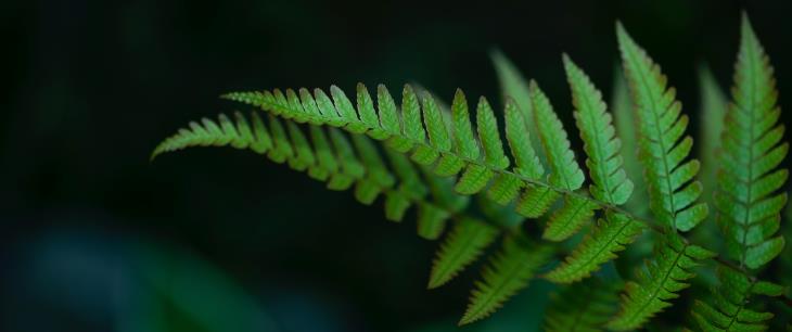 Business Ethics and Corporate Behavior: A Value-based approach to Governance in ESG