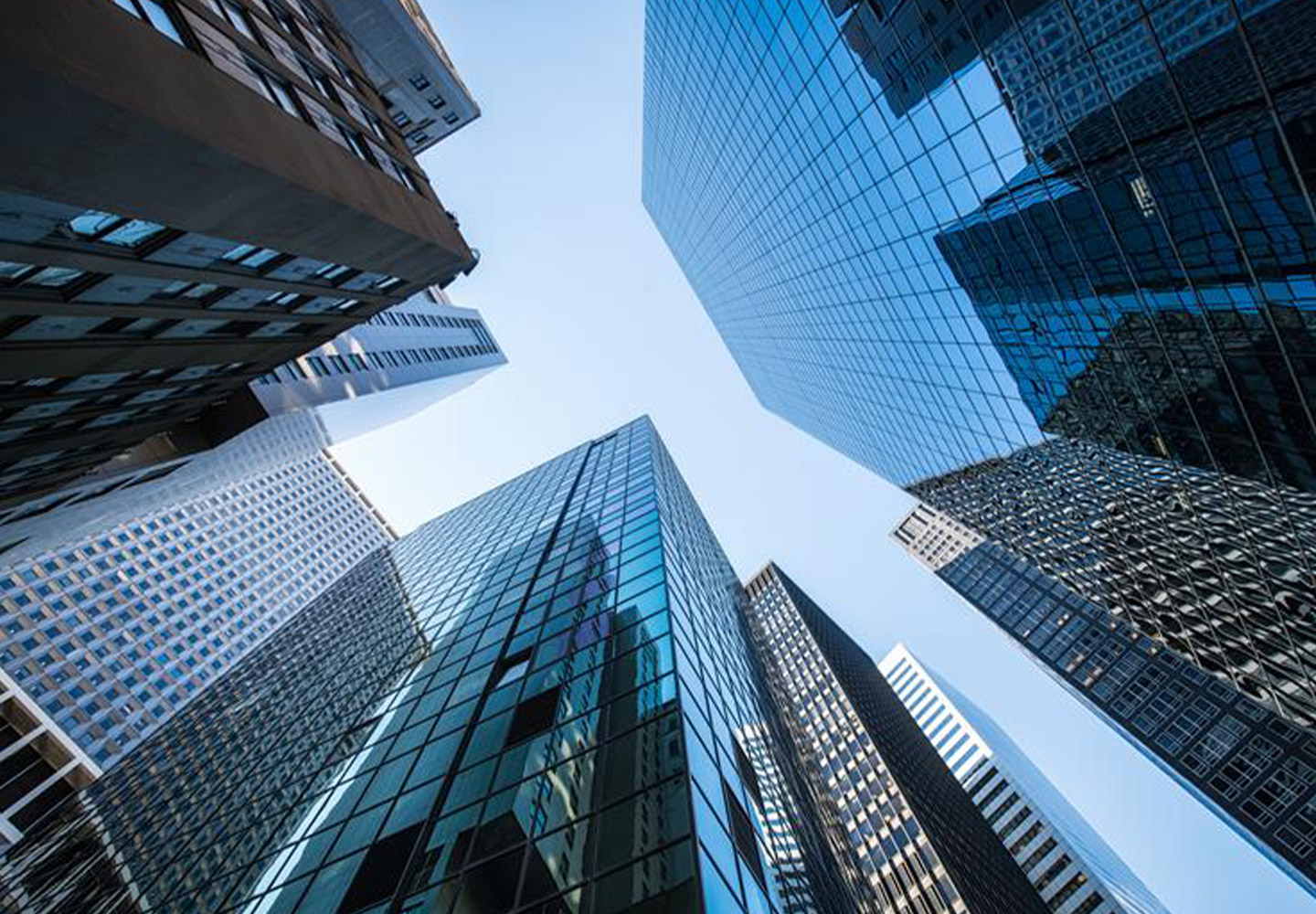 Whybdo