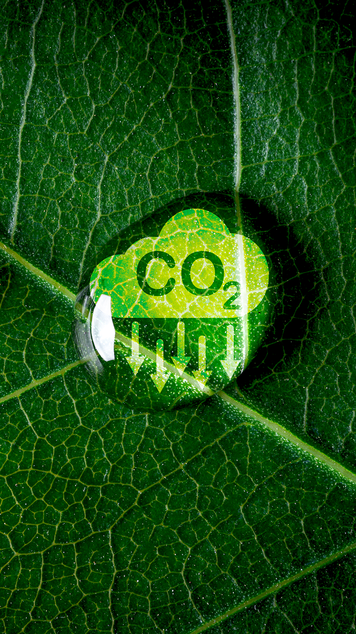 climate services uae